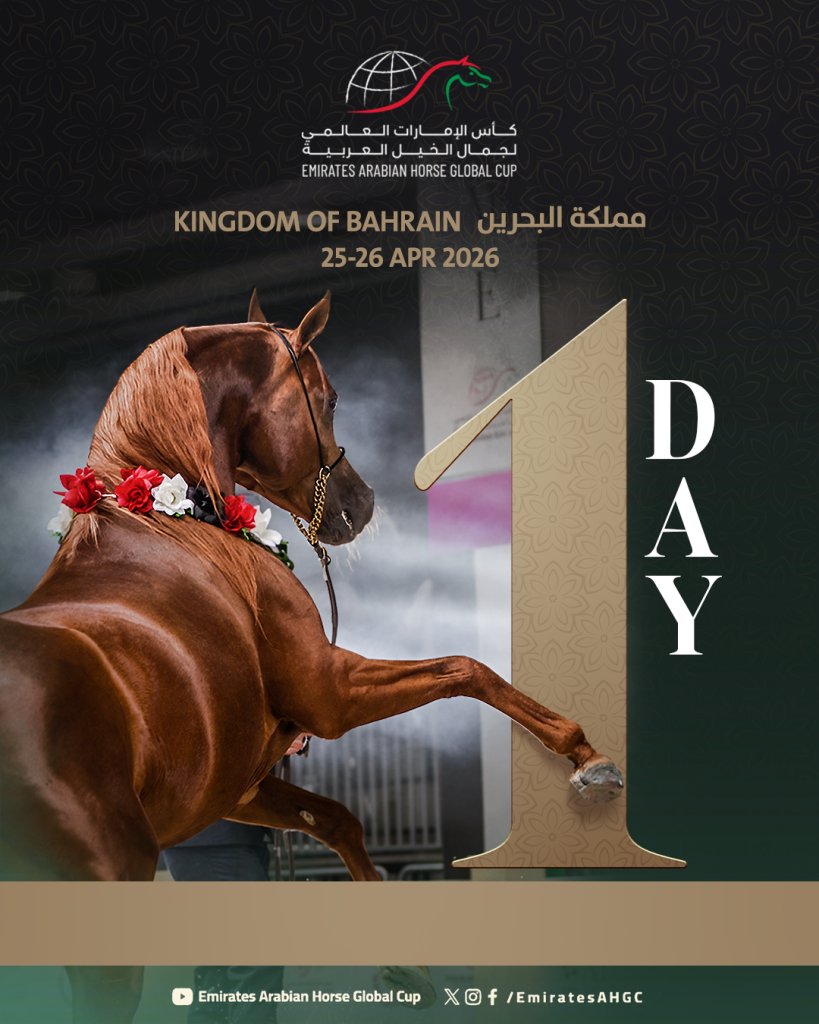 البحرين تستضيف الجولة الثانية لكأس الإمارات العالمي لجمال الخيل العربية بمشاركة 106 خيول