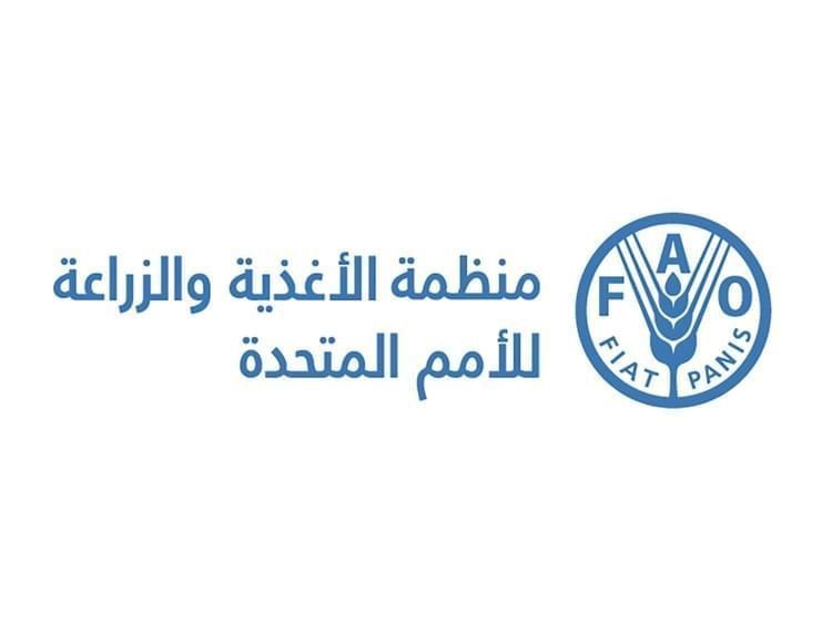 فاو: أسعار الغذاء العالمية تواصل ارتفاعها في أبريل