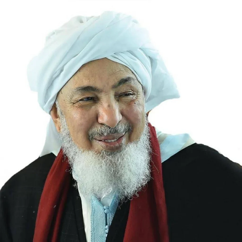 عبدالله بن بيّه: الاستثمار في السلام لا ينبغي أن يؤجل حتى تصمت المدافع